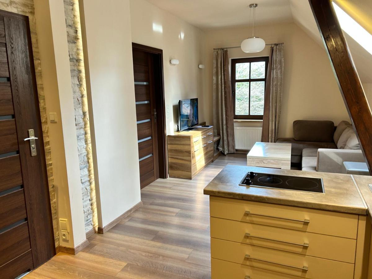 Apartamenty Silva Шклярска-Поремба Экстерьер фото